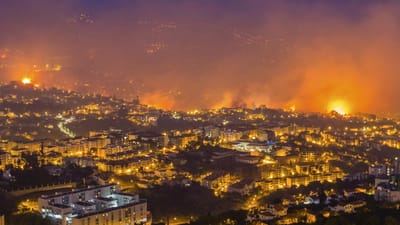 Câmaras de vigilância captam chegada do fogo ao Funchal - TVI