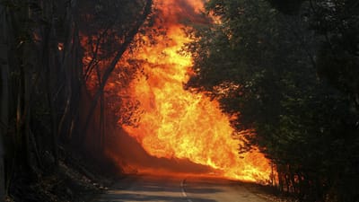 Incêndios: há quatro anos que Portugal não ardia assim - TVI