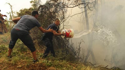 Incêndios: Funchal desativa Plano Municipal de Emergência - TVI