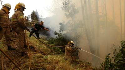 Madeira: 25 bombeiros no rescaldo do fogo na Calheta - TVI