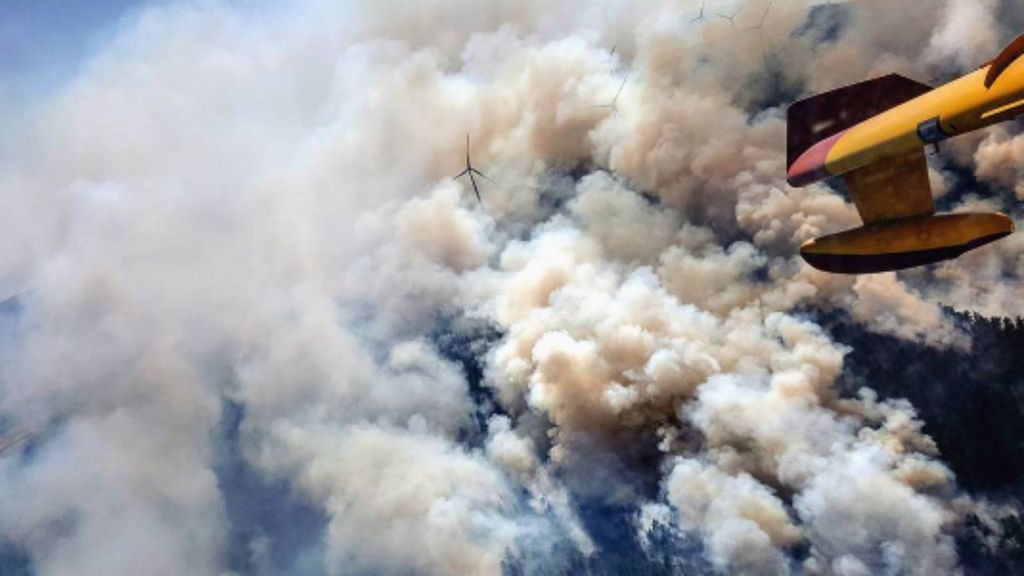 Piloto espanhol a combater incêndio em Viana do Castelo