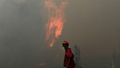 Madeira: bombeiros combatem chamas na Calheta - TVI