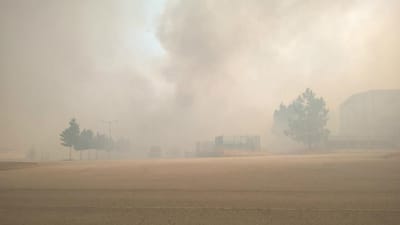 Ateou mais de 30 fogos por "puro incendiarismo" - TVI