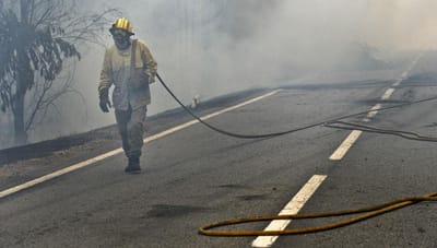 Incêndio corta A25 na zona de Sever do Vouga - TVI