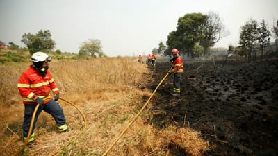 Pena suspensa para incendiário que ateou nove fogos - TVI