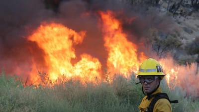 Austrália e Nova Zelândia enviam 188 bombeiros para incêndios nos EUA - TVI