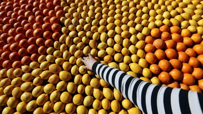 ASAE apreendeu 64 toneladas de citrinos no valor de 18 mil euros - TVI