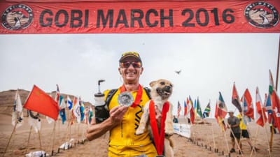 Ultramaratonista procura cadela que o acompanhou durante 125 km - TVI