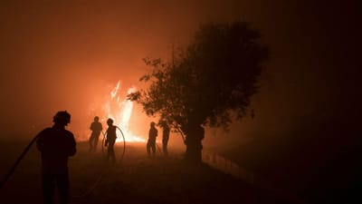 Força Aérea no combate a incêndios: petição já tem 32 mil assinaturas - TVI