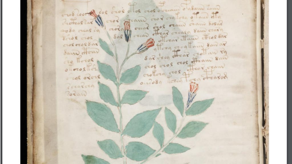 "Manuscrito Voynich"