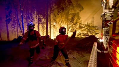 Cabeceiras de Basto: incêndio mobiliza 150 bombeiros - TVI