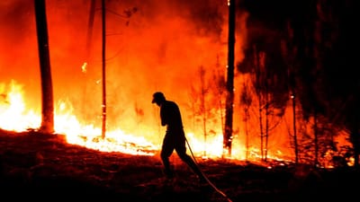 Mais de uma centena de bombeiros combatem fogo em Vila Verde - TVI