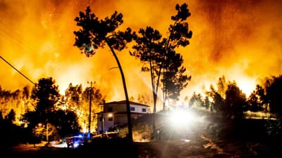 Leiria: incêndio coloca casas e animais em risco - TVI
