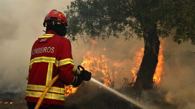 Incêndio em Baião entra em fase de rescaldo - TVI