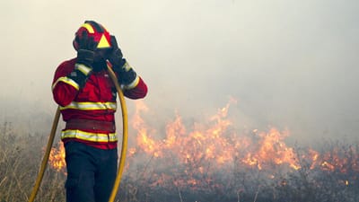 Pai e filho suspeitos de atearem fogo em Cinfães - TVI