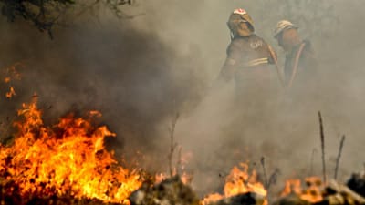 Dois fogos em Soure mobilizam mais de 200 bombeiros - TVI