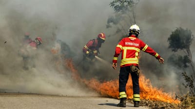 Fogo em Mangualde mobiliza quase 150 bombeiros - TVI