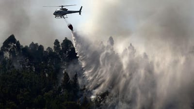 PJ deteve 76 alegados incendiários desde o início do ano - TVI