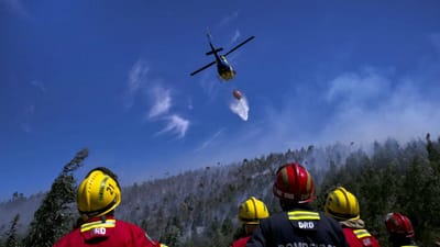 Incêndio em Montargil extinto, mas bombeiros permanecem em vigilância - TVI