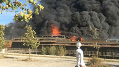 Incêndio no Zmar provocou "danos avultados" - TVI