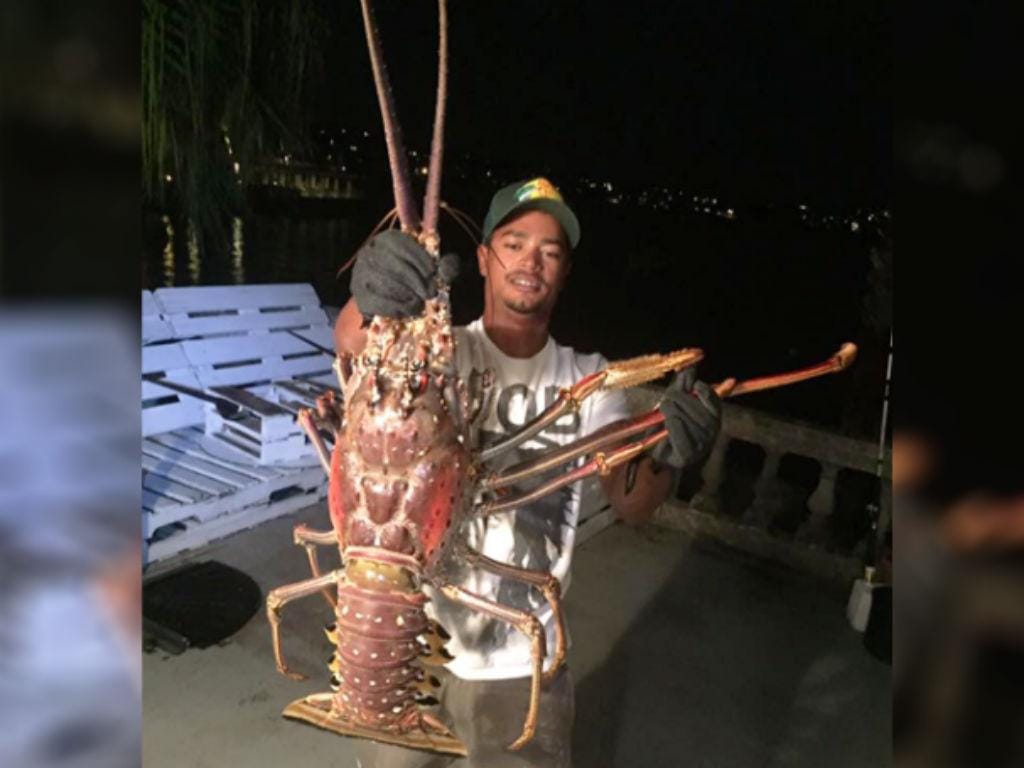 Pescadores capturam lagosta gigante nas Bermudas