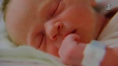 Bebé circuncidado sem autorização da mãe - TVI