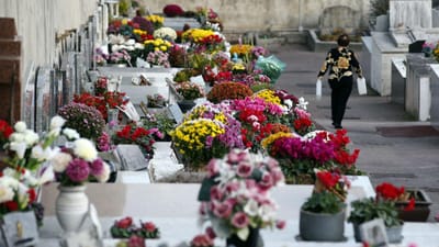 Turismo sepulcral: sabia que os cemitérios do Porto estão a receber cada vez mais visitantes? - TVI