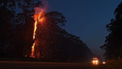 Incêndios sem controlo destroem casas na Austrália - TVI