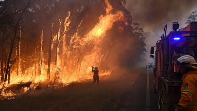 Financiamento bombeiros: Liga reconhece "avanço" mas diz que é insuficiente - TVI