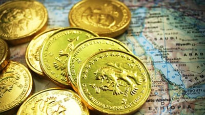 Várias moedas perderam muito valor em 2016 - TVI