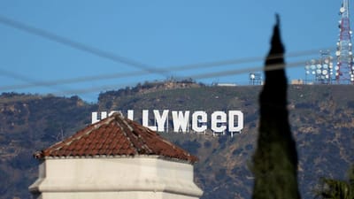 Hollywood trocado por 'Hollyweed' em ano de legalização da marijuana - TVI