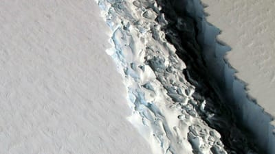 Icebergue gigante prestes a desprender-se da Antártida - TVI