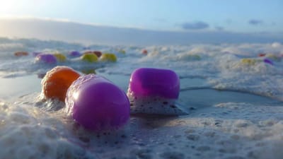 Ovos de chocolate invadem ilha alemã - TVI