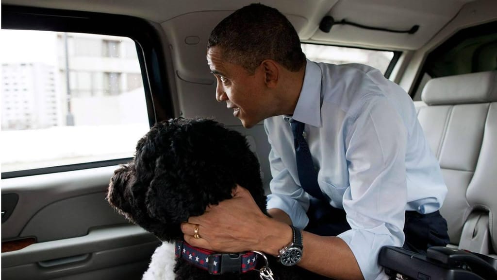 Obama com os cães