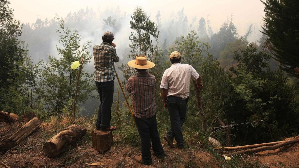 Mais de nove mil pessoas combatem incêndios no Chile.