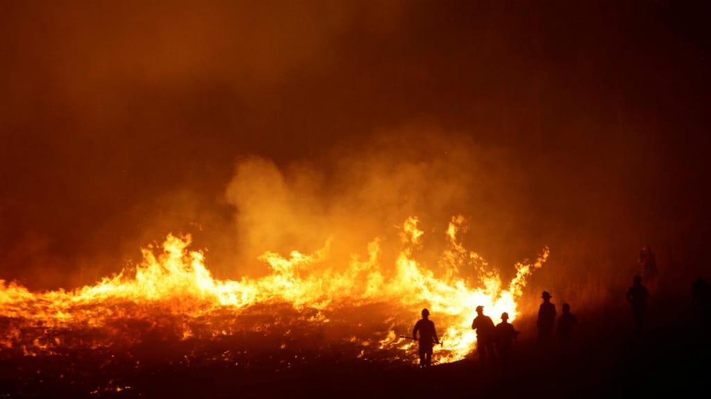 Incêndios consomem centenas de milhares de hectares