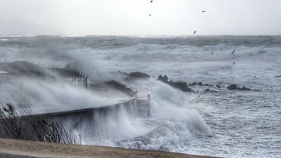 Proteção Civil reforça aviso de mau tempo nos Açores - TVI
