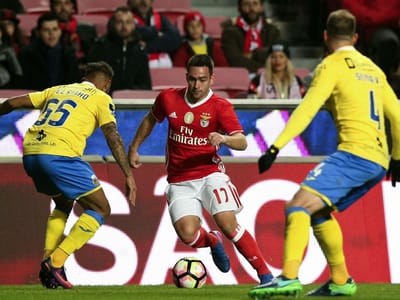 Benfica-Arouca: Luz registou pior assistência da época para a Liga - TVI