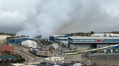 Efeitos da nuvem tóxica em Setúbal chegaram até ao Porto - TVI