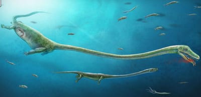 Cientistas descobrem fóssil de dinossauro fêmea grávida - TVI