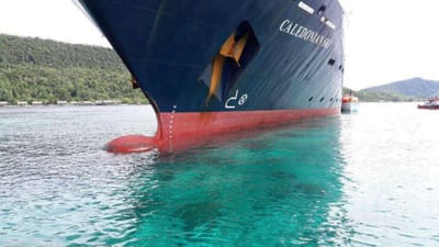Navio de cruzeiro destrói parte de recife de coral na Indonésia - TVI