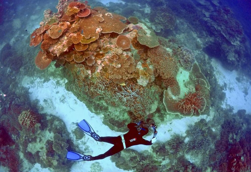 Grande Barreira de Coral, na Austrália