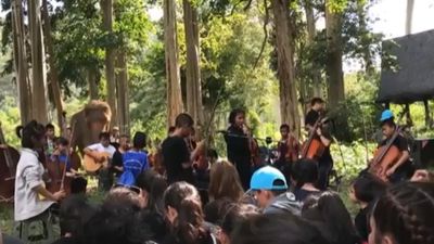 Orquestra de Cegos da Tailândia é "escola" para as crianças - TVI