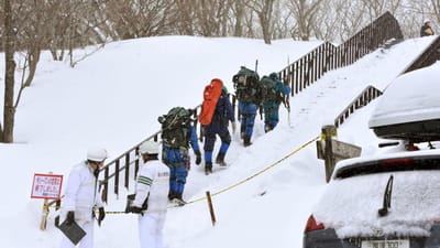 Avalanche faz pelo menos oito mortos no Japão - TVI
