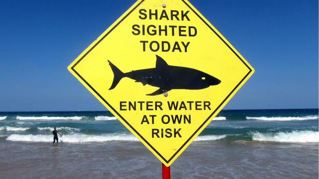 Aviso tubarão - Austrália