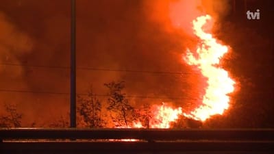 Há um elevado perigo de incêndios nos próximos dias - TVI