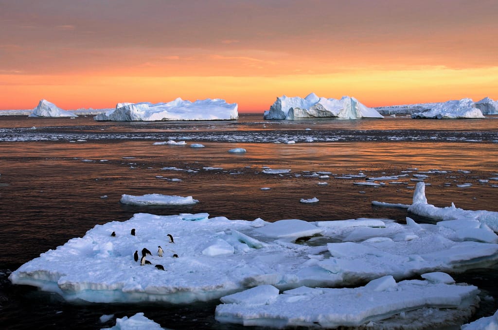 Estes glaciares não são apenas gelo: são fragilidade e beleza
