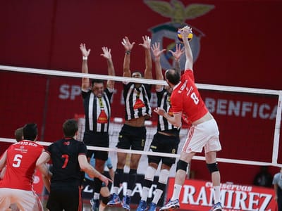 Voleibol: Benfica soma primeira vitória, Fonte Bastardo e Sp. Espinho lideram - TVI