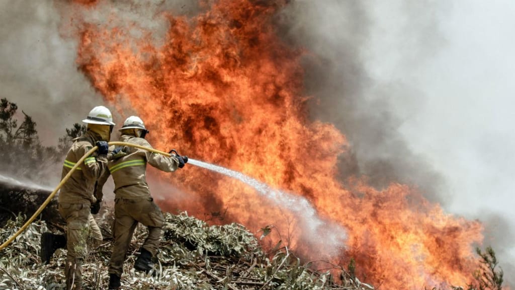 GNR combate fogo na aldeia de Capela de São Neitel, em Alvaiázere, Leiria, próximo de Pedrógão Grande, onde dezenas de pessoas morreram na sequência de um incêndio este fim de semana.