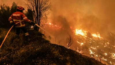 Incêndio avança para distritos vizinhos e obriga a retirar pessoas de casa - TVI
